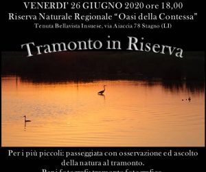 Tramonto in Riserva