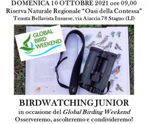 Birdwatching junior – domenica 10 ottobre 2021